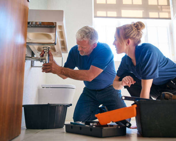 Best 24/7 Emergency Plumbing Services  in Fair Plain, MI